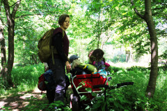 Bollerwagen-im-Wald